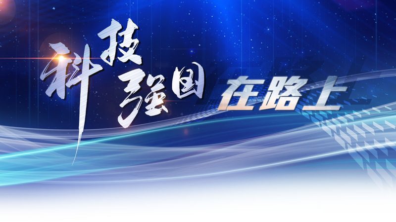 湖仓一体平台选型：如何规避常见陷阱，确保数据价值最大化